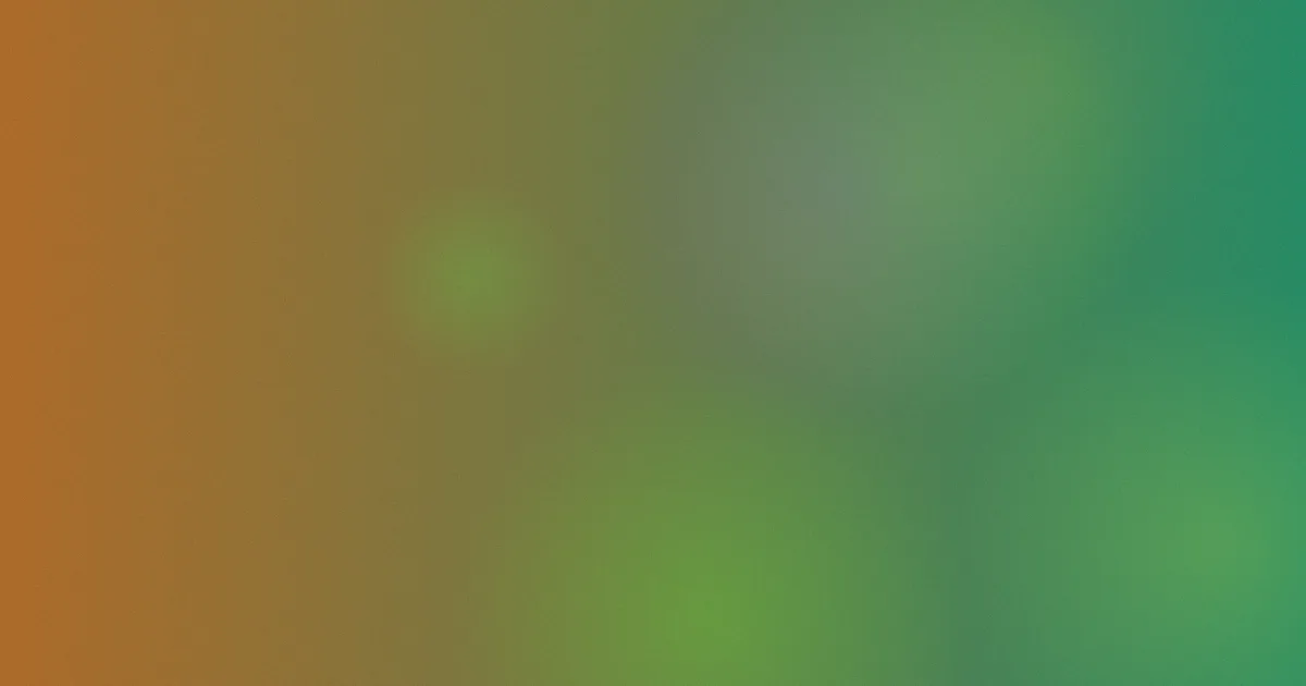 bli推荐：新手照着选就行
